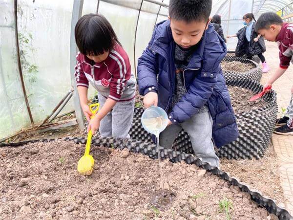 巴德美际学校成都校区用什么样的课堂，让学生成为学习的主人？