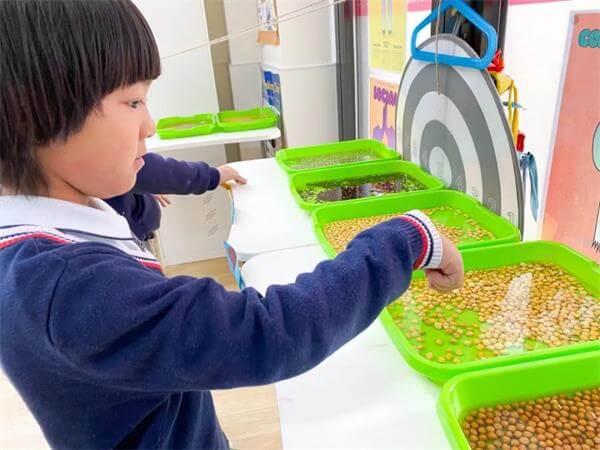 巴德美际学校成都校区用什么样的课堂，让学生成为学习的主人？