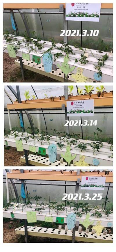 巴德美际学校成都校区用什么样的课堂，让学生成为学习的主人？