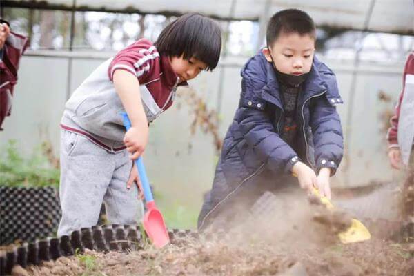 巴德美际学校成都校区用什么样的课堂，让学生成为学习的主人？