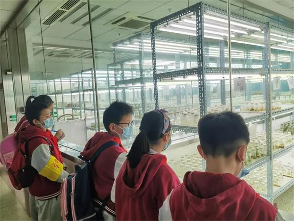 武汉外国语学校美加分校科学理想浩瀚-未来之星璀璨！