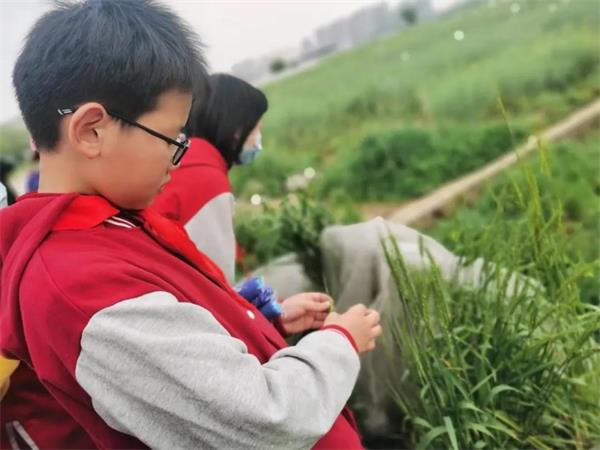武汉外国语学校美加分校科学理想浩瀚-未来之星璀璨！
