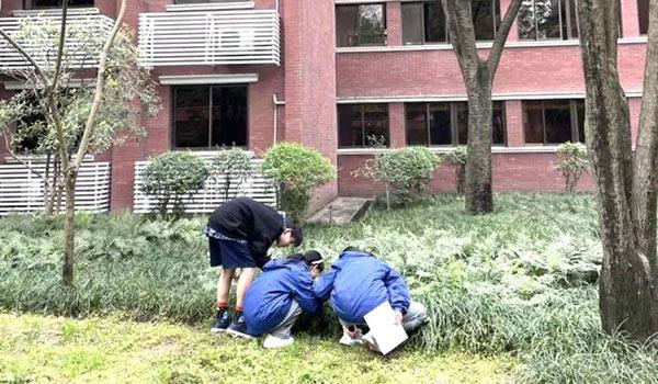 成都市西雅美途外国语联合学校 ：在成都西雅美途课外活动中探索自然的奥义