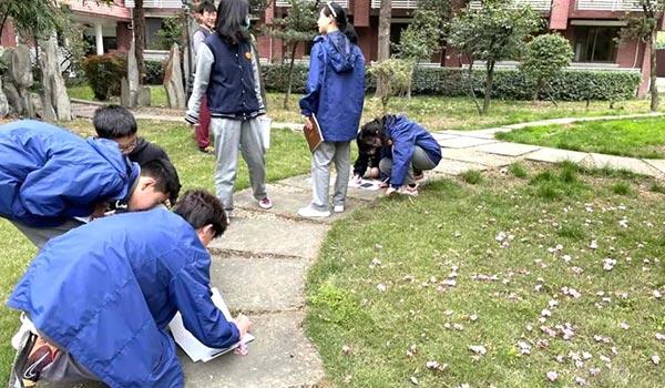 成都市西雅美途外国语联合学校 ：在成都西雅美途课外活动中探索自然的奥义