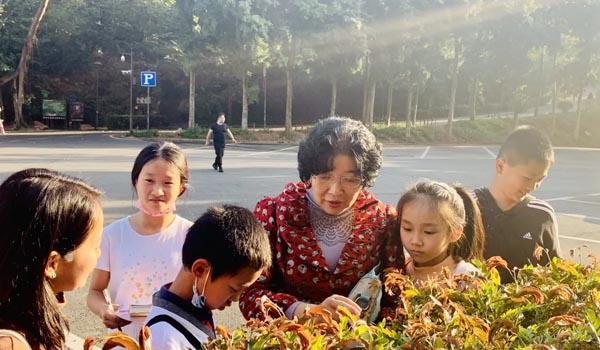 深圳市华美外国语学校 ：深圳华美外国语学校都有什么课程、华美学费
