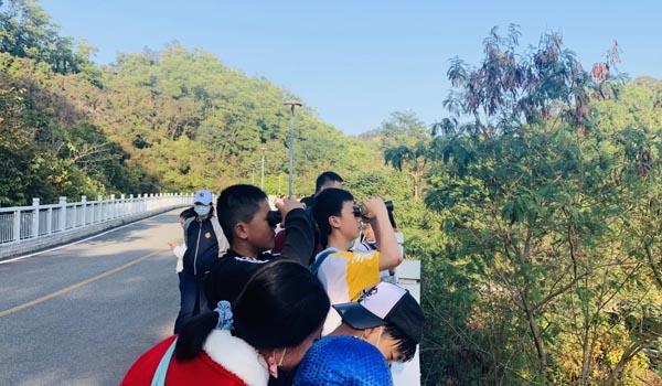 深圳市华美外国语学校 ：深圳华美外国语学校都有什么课程、华美学费