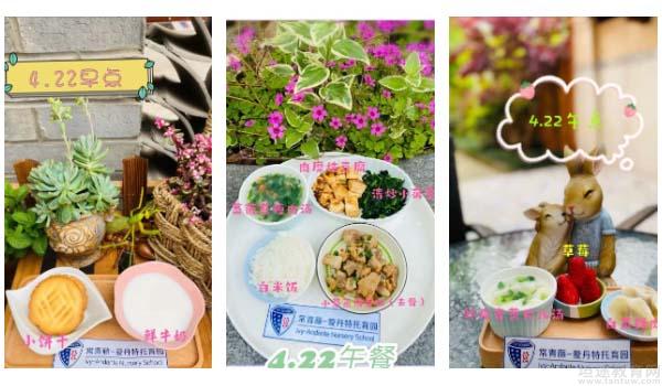 上海常青藤学校[原博华] ：上海常青藤告诉你孩子为什么要托育