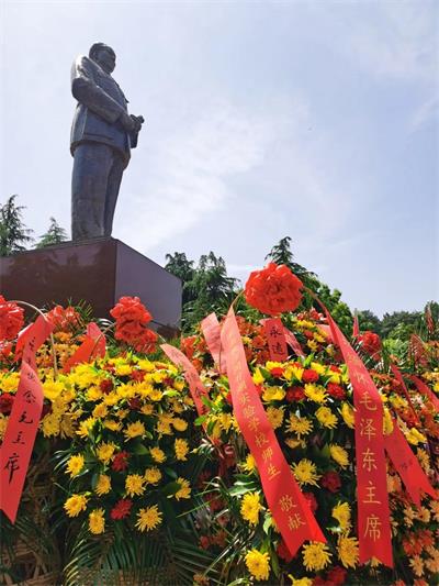 湖南长沙同升湖实验学校国际部开展”学党史”活动
