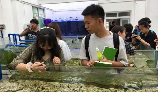 昆明世青国际学校 ：昆明世青国际学校海南研学之旅回顾