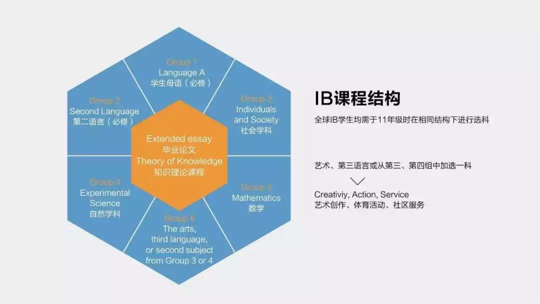 什么是IB国际课程?IB课程基本情况介绍