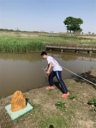上海位育中学国际部高二年级第四学科组跨学科科研项目活动