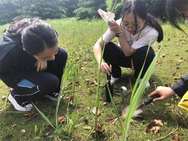 上海位育中学国际部高二年级第四学科组跨学科科研项目活动