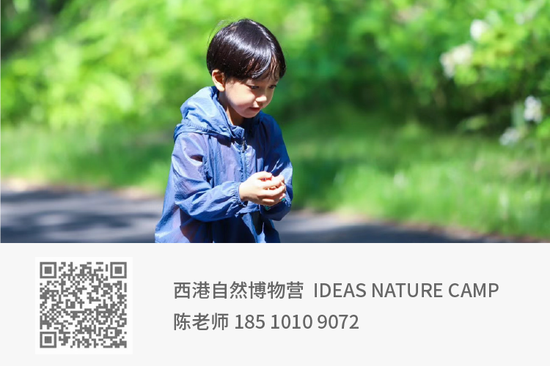 2021启行夏令营|为4-18岁孩子打造专业又有趣的成长计划