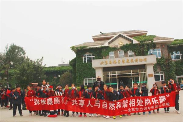北京力迈中美国际学校K-4年级社会实践活动