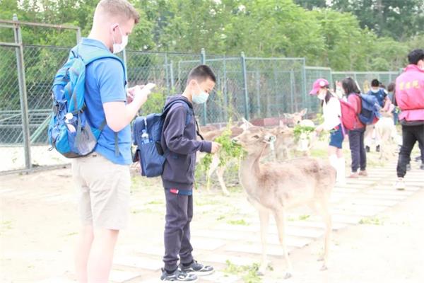 北京力迈中美国际学校K-4年级社会实践活动