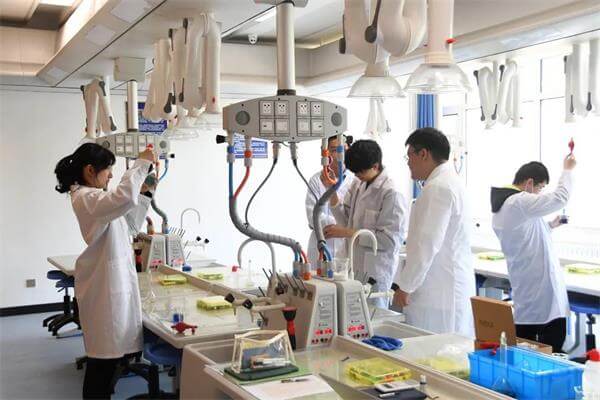 青岛威德明特双语学校化学课 | 用溶液稀释绘制出蓝色梦境