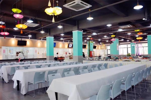 520全国学生营养日 | 新哲书院师生珍惜盘中餐，粒粒助健康