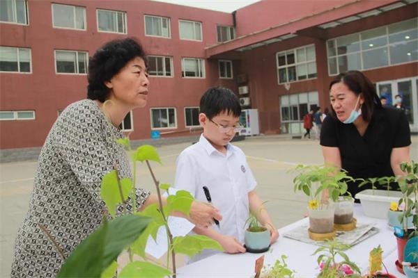 北京力迈中美国际学校“力迈杯”中小学植物栽培大赛前方报道