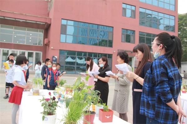 北京力迈中美国际学校“力迈杯”中小学植物栽培大赛前方报道
