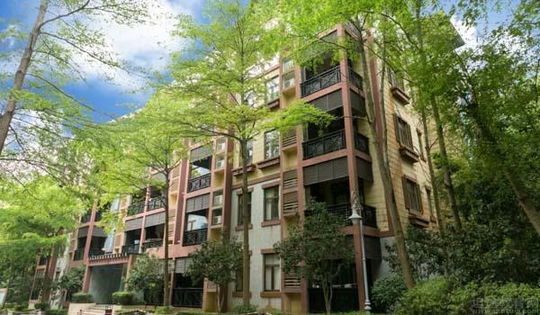 普林斯顿云海谷国际学校 ：深圳普林斯顿学校学费情况一览