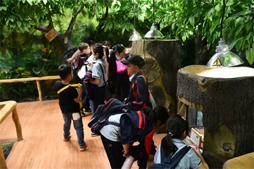 成功源自好奇心：青岛威德明特小学部研学——参观海信探索中心