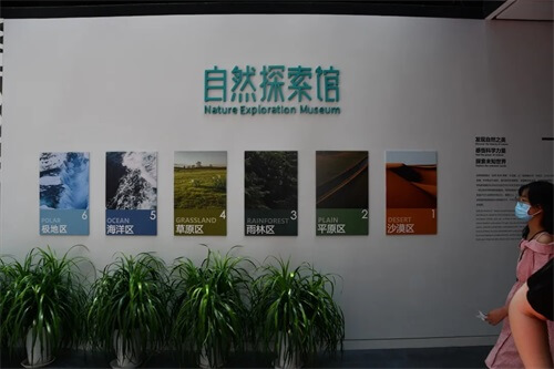 成功源自好奇心：青岛威德明特小学部研学——参观海信探索中心