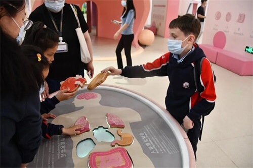 成功源自好奇心：青岛威德明特小学部研学——参观海信探索中心