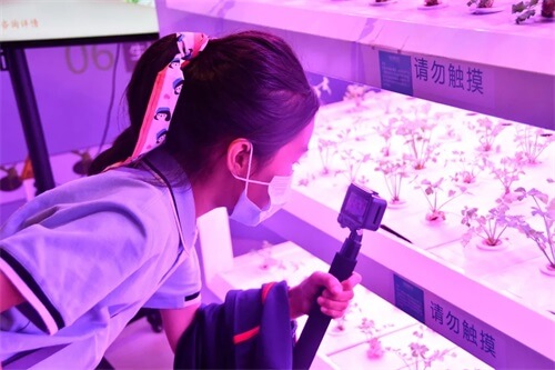 成功源自好奇心：青岛威德明特小学部研学——参观海信探索中心