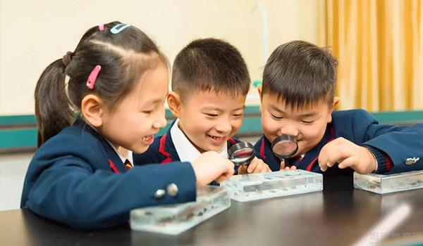 武汉市澳洲国际学校 ：为什么一众家长倾心于武汉澳洲国际学校？