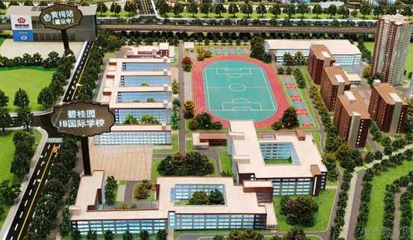 长江三角区这几所国际学校兼具了规模与实力