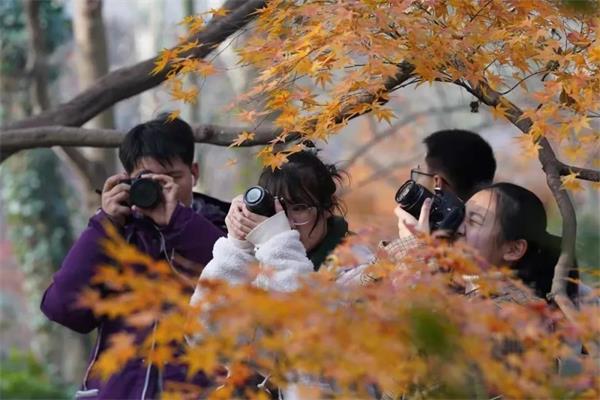 南京雨花台中学国际高中首届校园艺术月报名启动啦！