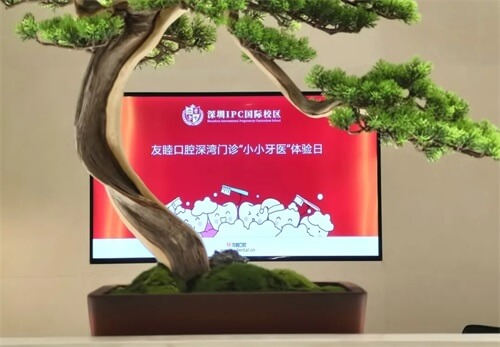 深圳IPC国际校区School Trip：体验不一样的研学之旅