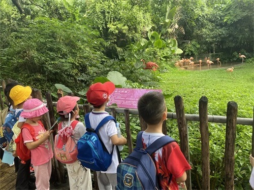 深圳IPC国际校区School Trip：体验不一样的研学之旅