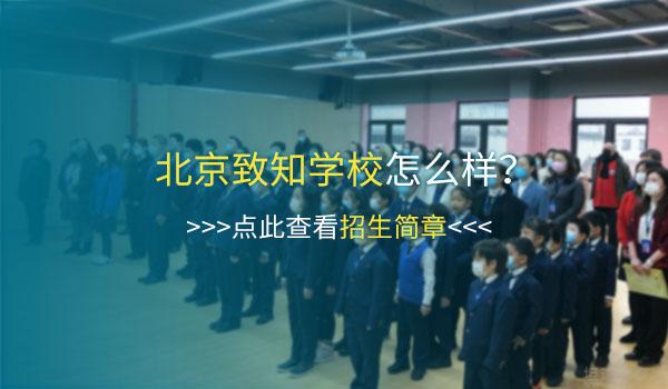 北京致知学校 ：从数据看北京致知学校师资实力更直观！