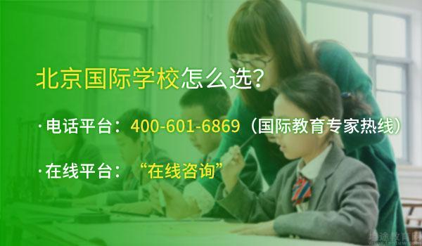 北京青苗国际双语学校 ：北京青苗国际双语学校首个学子现在如何？