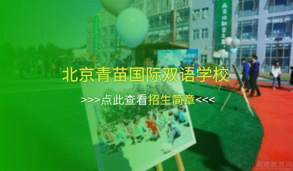 北京青苗国际双语学校 ：北京青苗国际双语学校首个学子现在如何？