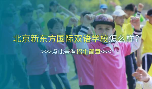 北京新东方国际双语学校 ：霍格沃兹“分校”？北京新东方学院制介绍