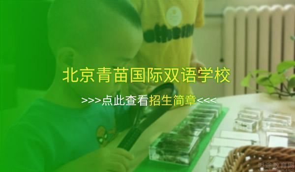 北京青苗国际双语学校 ：探虫记！北京青苗国际双语学校10月活动来袭