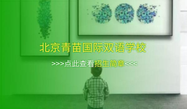 北京青苗国际双语学校 ：探虫记！北京青苗国际双语学校10月活动来袭