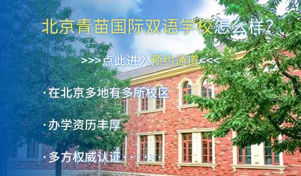2022年北京国际学校怎么选？跟着本文准没错！