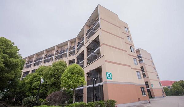 上海中加枫华国际学校 ：为什么众多家长选择了中加枫华国际学校？