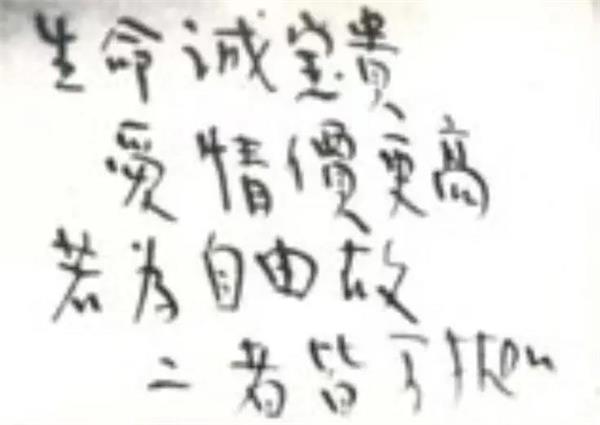 宁波赫威斯肯特学校主题党日活动 | 牢记初心使命，传承红色基因
