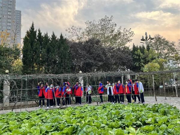 陕西省西安中学国际部学子校园采摘劳动实践活动