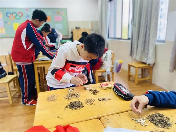 宁乡市碧桂园学校六年级“中医与健康”UOI探究活动