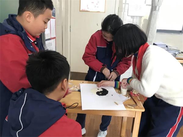 宁乡市碧桂园学校六年级“中医与健康”UOI探究活动