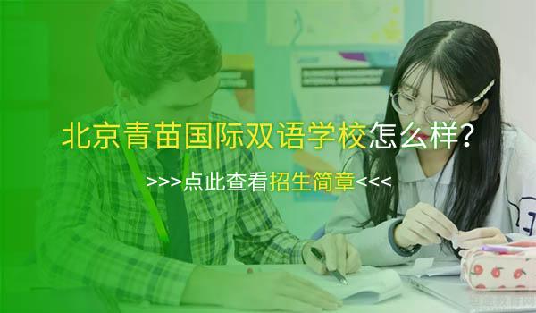 北京青苗国际双语学校 ：连线北京青苗毕业生了解真实海外大学生活！