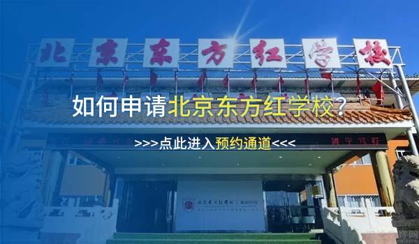 高考or留学？北京国际学校小语种课程盘点！
