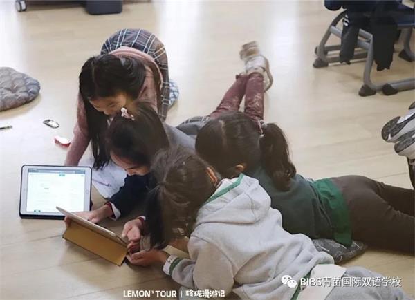为寻找“世界上最好的教育”，青苗国际双语学校带娃走遍世界