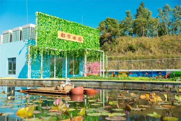 深圳市桃源居中澳实验学校“都市田园”举办三周年成果展