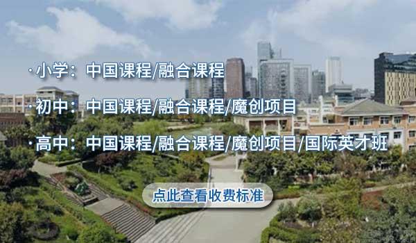 成都美视国际学校 ：成都美视国际学校一大波名校录取请查收！